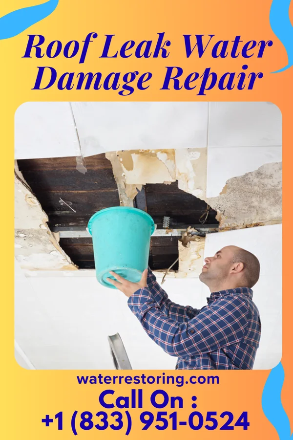 Roof Leak Water Damage Repair in Vineyard, UT